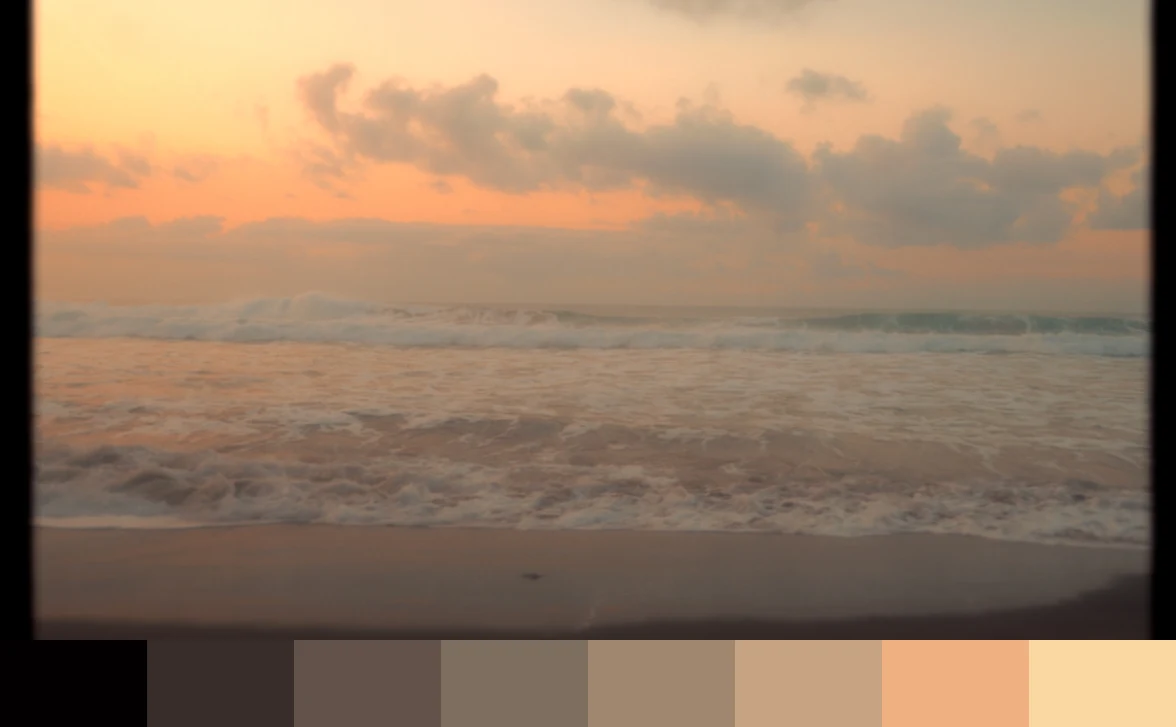 SOUTH OF JAVA Frame Palette 1