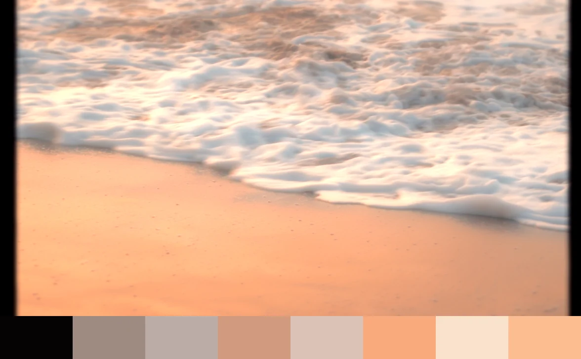 SOUTH OF JAVA Frame Palette 9