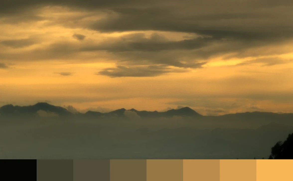 RENI TALIA Frame Palette 5