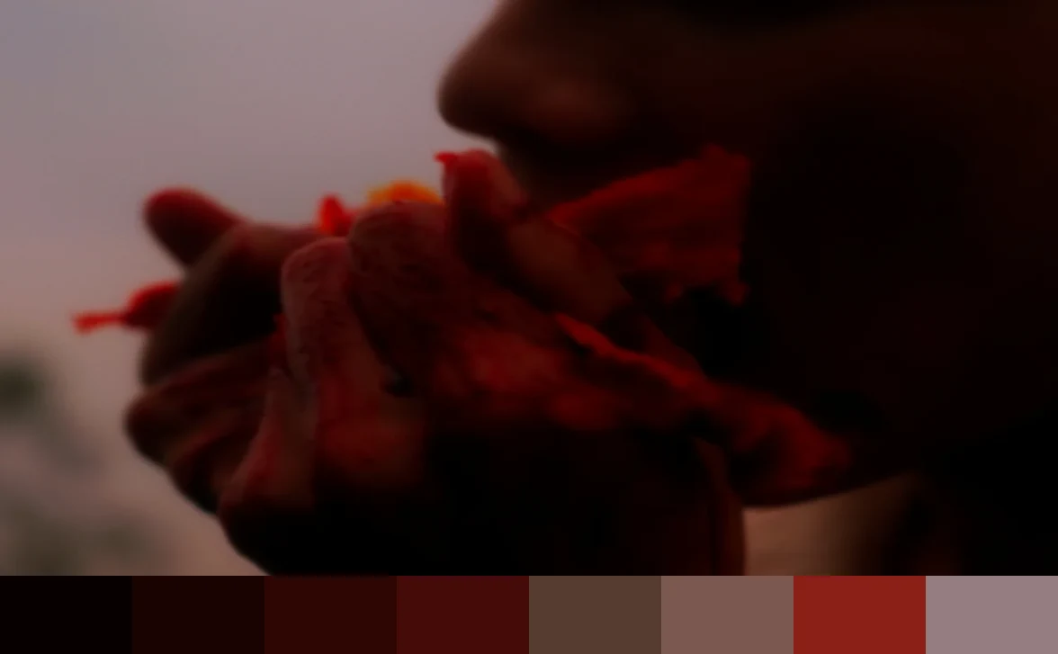 RUAH Frame Palette 4