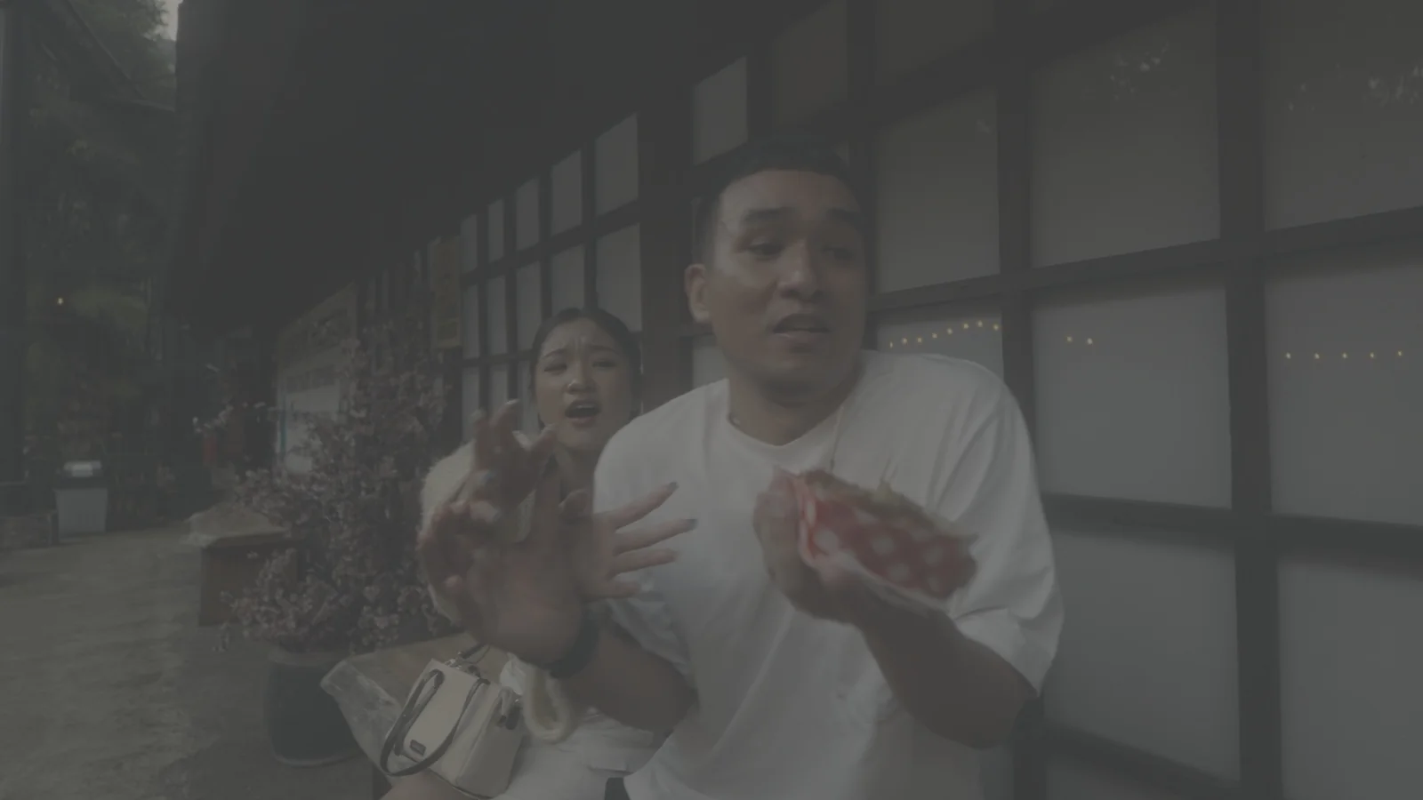Camera Log S-Log3